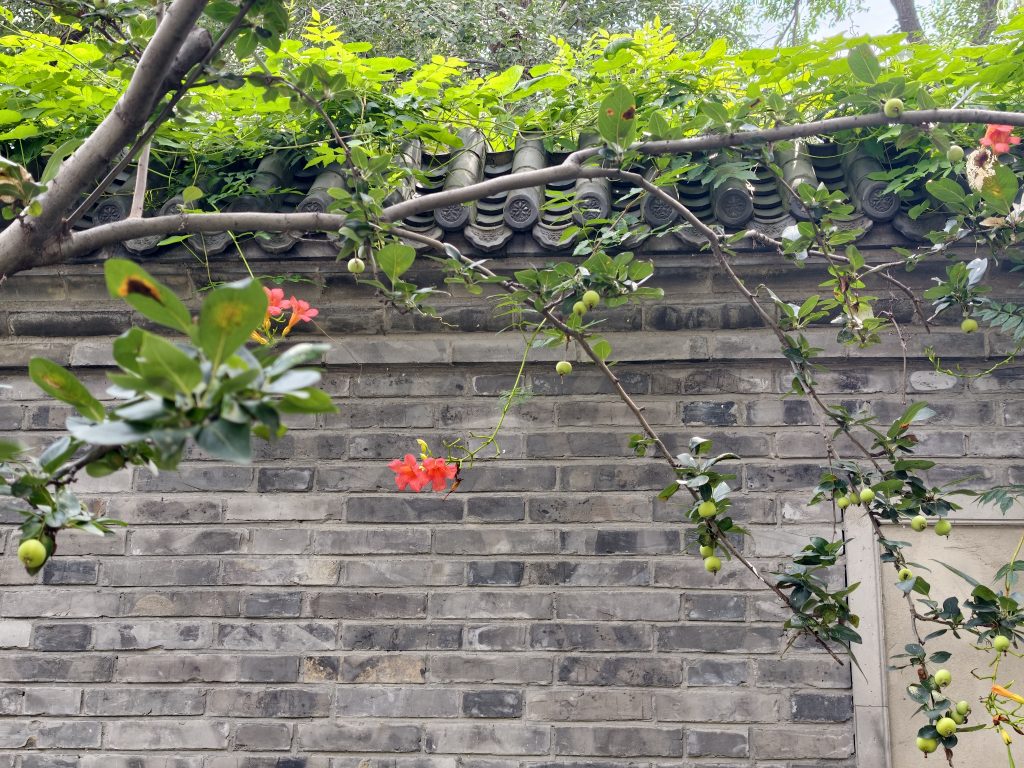 Tao Te Ching, Chapter 41: The Three Types Who Hear the Tao