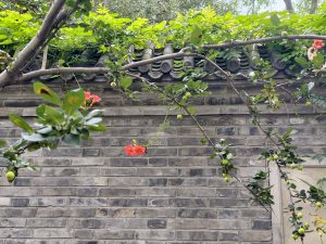Tao Te Ching, Chapter 41: The Three Types Who Hear the Tao